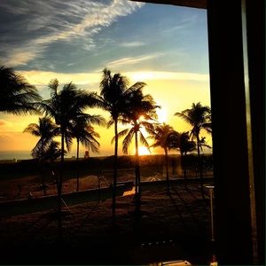 Meet your Posher, Paul